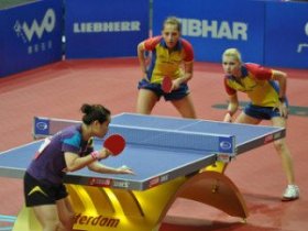 Table Tennis (Ping Pong)